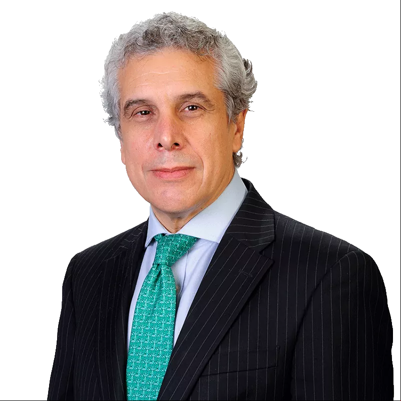 Javier Etcheverry Boneo - Marval O'Farrell Mairal