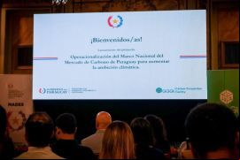 El Gobierno paraguayo ha venido promoviendo el mercado de carbono y el Decreto N° 3369/25 es una de las iniciativas en ese sentido./ Tomada de la página del Ministerio de Ambiente y Desarrollo Sostenible en Facebook.