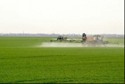 Sumitomo Chemical, compañía química japonesa, compró todas las acciones de las filiales del fabricante australiano de productos para la protección de cultivos y tratamiento de semillas Nufarm / Archivo