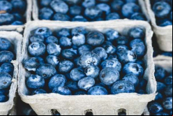 Dulcor produce mermelada de arándanos, entre otras frutas / Pixabay