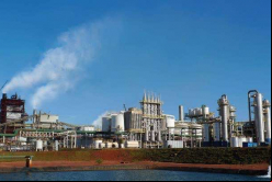 Adecoagro produce alimentos, etanol y energía / Tomada del sitio web de Adecoagro