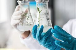 Exata é líder no mercado brasileiro de laboratórios de testes de solos e plantas./ Canva.