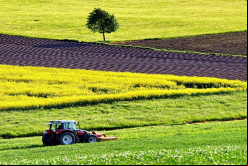 Actualización: Dentons Muñoz y Arias asesoran en compra de Agricenter por Amvac en Costa Rica