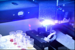 ACON y Humus Capital Partners concluyen adquisición de Biosidus