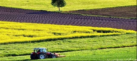 Actualización: Dentons Muñoz y Arias asesoran en compra de Agricenter por Amvac en Costa Rica