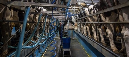 Arla Foods obtiene crédito por USD 56 millones del IFC