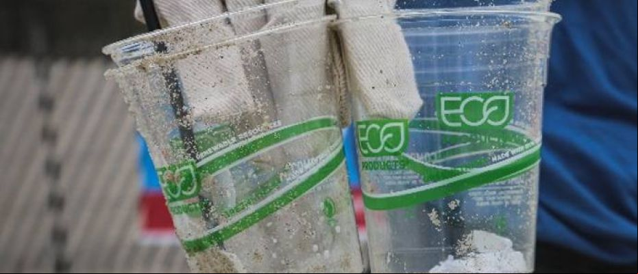 A través del llamado greenwashing se trata de vender productos y servicios amigables con el medioambiente, pero que, en realidad, no cumplen con objetivos vinculantes en materia sostenible./ Unsplash - Brian Yurasits.